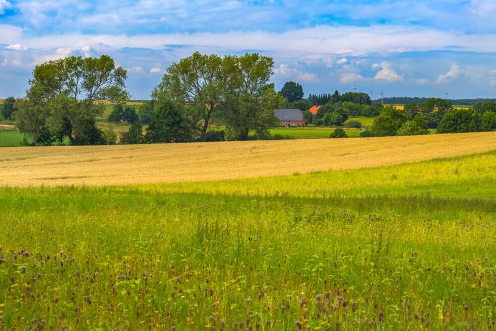 21.05.26 – Wietzetze